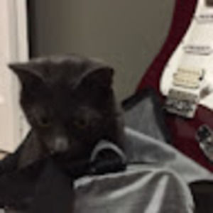 Meet your Posher, Ethan